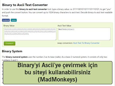 Binary'yi Ascii'ye çevirmek için bu sitesi kullanabilirsiniz (madmonkeys)